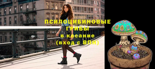 хмурый Покров