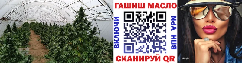 Купить где  Удомля  Дистиллят ТГК THC oil 